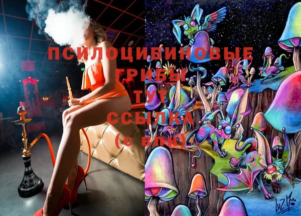 спайс Алзамай