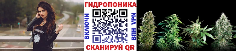Бошки марихуана SATIVA & INDICA  Рыльск 
