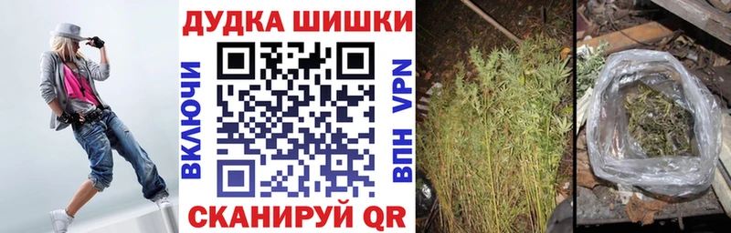 Бошки Шишки планчик Рыльск